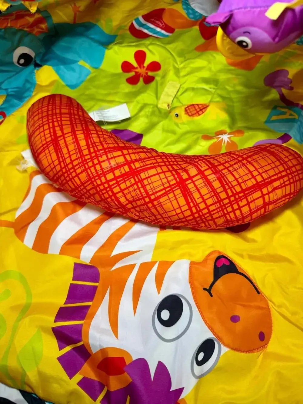 Infantino bright colorful